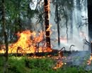 На Днепропетровщине, в связи с повышенной пожароопасностью, запрещена охота и отдых в лесах