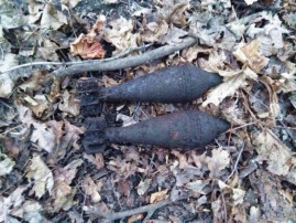 Урожайный день: взрывотехники Днепропетровщины за сутки уничтожили более десятка боеприпасов