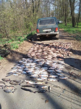 В Криворожском районе за вылов рыбы задержаны браконьеры