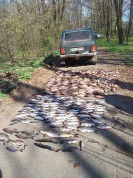 В Криворожском районе за вылов рыбы задержаны браконьеры В Криворожском районе за вылов рыбы задержаны браконьеры