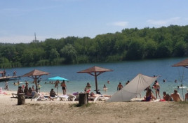 У водоймі Кривого Рогу виявили штам холерного вібріона У водоймі Кривого Рогу виявили штам холерного вібріона