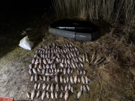 На Дніпропетровщині браконьєр наловив риби на понад 240 тисяч гривень