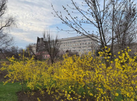 Ситуація на Криворіжжі контрольована: обстрілів не зафіксовано