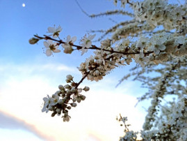 У Кривому Розі на ранок ситуація контрольована