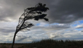 В Україні прогнозують сильні пориви вітру до 20 м/с