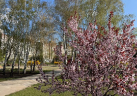 Ніч у Кривому Розі пройшла без обстрілів