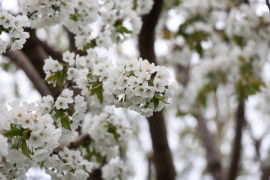 Ситуація на ранок 25 квітня: у Кривому Розі все працює, район був під атакою