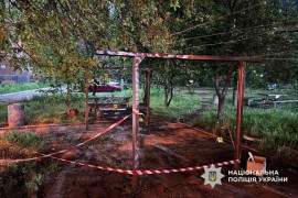 Хуліганство з гранатою у Кривому Розі: пошкоджено будинок, відкрито справу