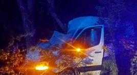 На Криворізькій трасі мікроавтобус врізався в дерево: є постраждалі