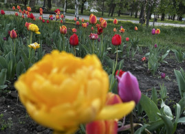 Вночі ворог атакував Криворіжжя