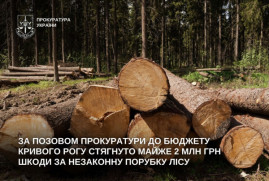 У Кривому Розі незаконно вирубали 178 дерев: з «Лісів України» стягнуть майже 2 млн грн