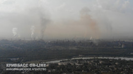На долю ПАО "АрселорМиттал Кривой Рог" приходится 85,87% от общего  объема загрязнения воздуха по городу  промышленными предприятиями
