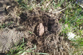 В Криворожском районе пастух нашел боевую гранату