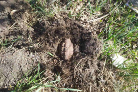 В Криворожском районе пастух нашел боевую гранату В Криворожском районе пастух нашел боевую гранату