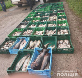 Изъяли 1 тонну рыбы: в Кривом Роге полиция обнаружила факт стихийной торговли свежей рыбой