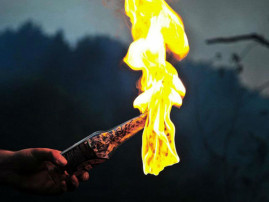 В Кривом Роге два частных домовладения пытались поджечь с помощью "коктейлей Молотова"