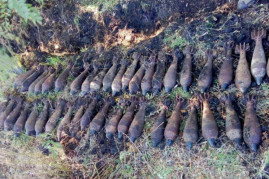 Под Кривым Рогом нашли 44 мины времен Второй мировой Под Кривым Рогом нашли 44 мины времен Второй мировой