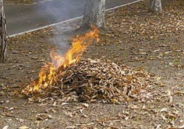 Криворожан предупреждают: сжигание листьев - опасность для здоровья человека и большой вред окружающей среде