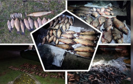 За 10 днів на Дніпропетровщині виявили 50 порушень нерестової заборони За 10 днів на Дніпропетровщині виявили 50 порушень нерестової заборони