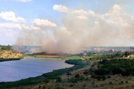 Масштабна пожежа у Кривому Розі, палає біля Солоного озера