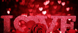 Криворожане в День святого Валентина смогут пожениться под покровом ночи