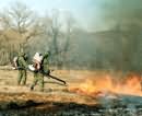 На Днепропетровщине создана система предотвращения лесных пожаров