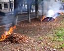 В Долгинцевском районе предостерегают от сжигания листвы