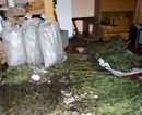 Правоохранители Днепропетровска изъяли у наркодельца «товара» на 6 миллионов гривен