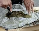 34-летний житель Кривого Рога пытался вывезти в Россию 3 килограмма марихуаны 