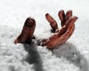 На крымском водопаде насмерть замерз турист из Кривого Рога