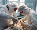 На Дніпропетровщині з’явився перший в Україні навчальний центр для практичних занять з ендоскопічної хірургії