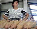 Четверть мяса птицы в Кривом Роге не отвечает требованиям украинских стандартов