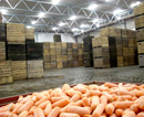 На Дніпропетровщині будуються 15 нових сховищ плодоовочевої продукції