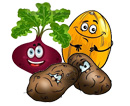 В Кривом Роге СЭС выявила превышение уровня нитратов в свекле, картофеле и дынях