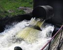 Как предприятия Кривого Рога заботятся о чистоте местных грунтовых вод