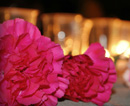 22 июня, в 4 утра, в Кривом Роге пройдет акция «Зажги свечу памяти»