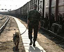 За неделю на Приднепровской железной дороге предотвратили 9 краж