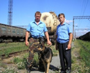 Оперативная группа охраны станции «Кривой Рог-Главный» задержала железнодорожных воров
