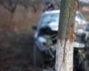 В Кривом Роге водитель «Опель-Вектра» разбил свой автомобиль о дерево