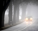Криворожских водителей просят быть внимательнее на дороге во время тумана