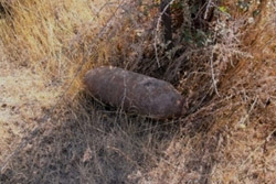 В Софиевском районе нашли 100-килограммовую бомбу