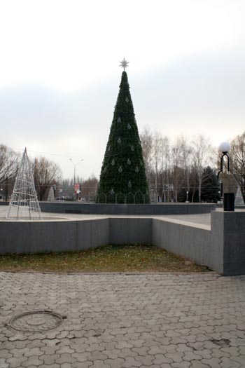 В Кривом Роге установили главную городскую елку (фото)