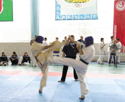 В Ингульце прошел Чемпионат Украины по киокушинкай каратэ