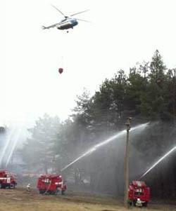 В Днепропетровской области состоялись командно-штабные учения по ликвидации лесных пожаров