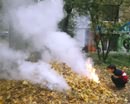 Осенний листопад грозит жителям Кривого Рога штрафами