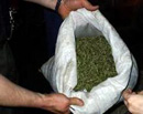 В Кривом Роге у наркомана изъяли 5 килограммов маковой соломки и 200 граммов «ширки»