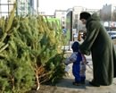 В Кривом Роге проходит операция «Новогодняя елка»