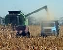 Криворожский район лидирует в области по урожайности ранних зерновых