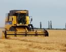 На Днепропетровщине уже намолочено 2 миллиона тонн зерна нового урожая