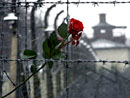Холокост - трагедия, которая коснулась всех